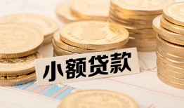 成都彭州市哪里有小额贷款-成都彭州市身份证贷款平台-成都彭州市民间短借